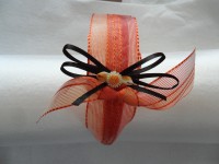 Diadema Fina