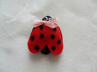 Broches
